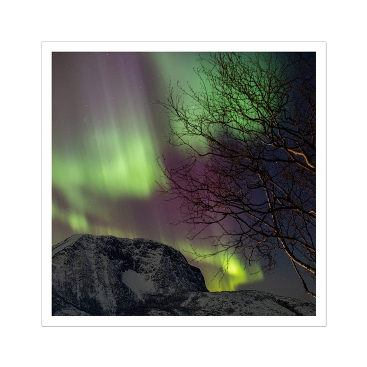 Aurora au-dessus de Lundøya II - Toile roulée