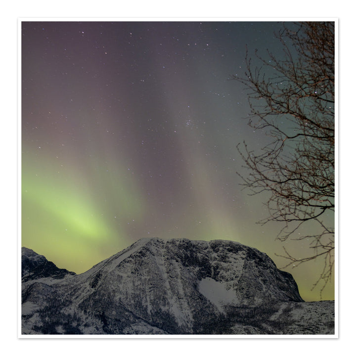 Aurora sobre Lundøya III - Hahnemühle Photo Rag Print