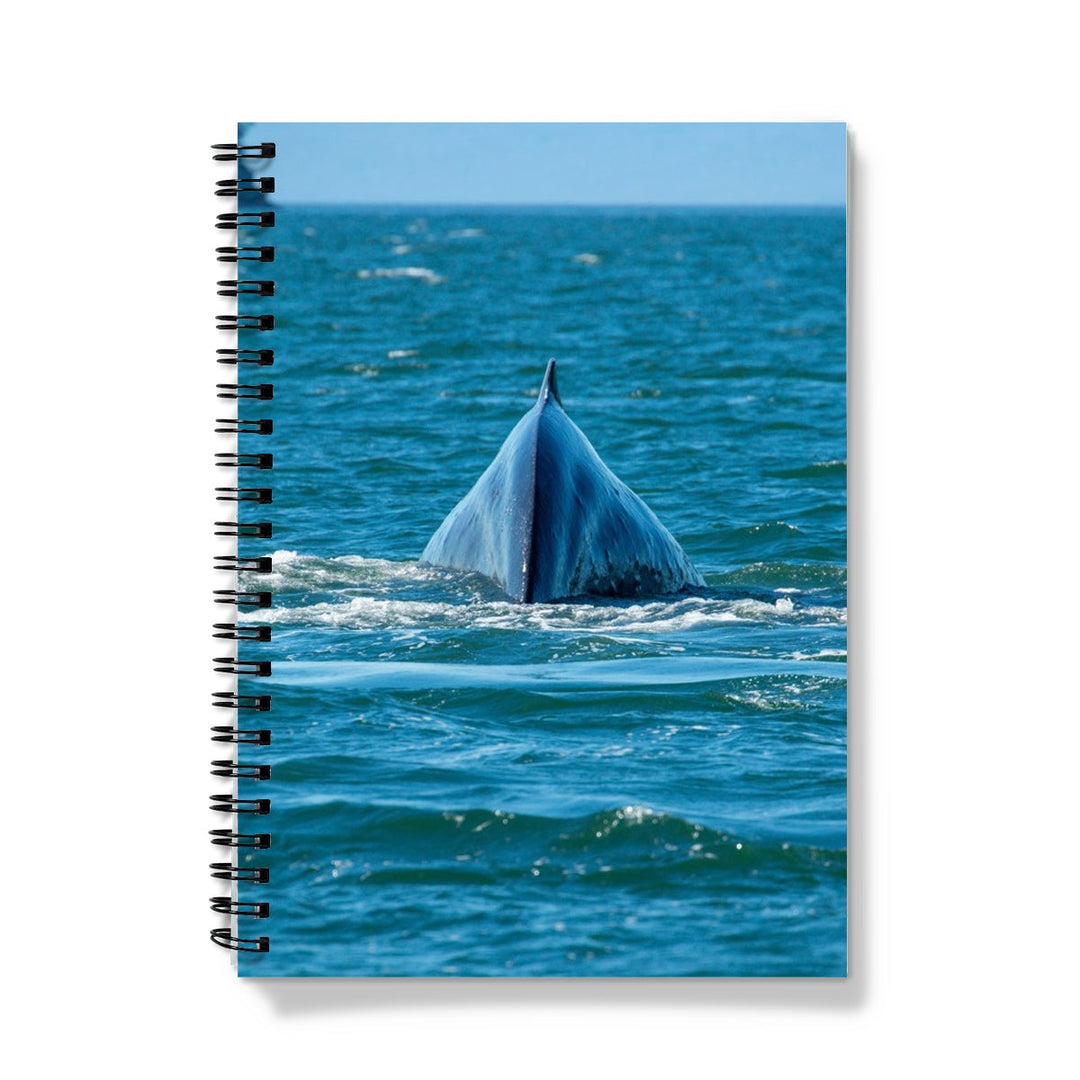 Buceo profundo I - Cuaderno