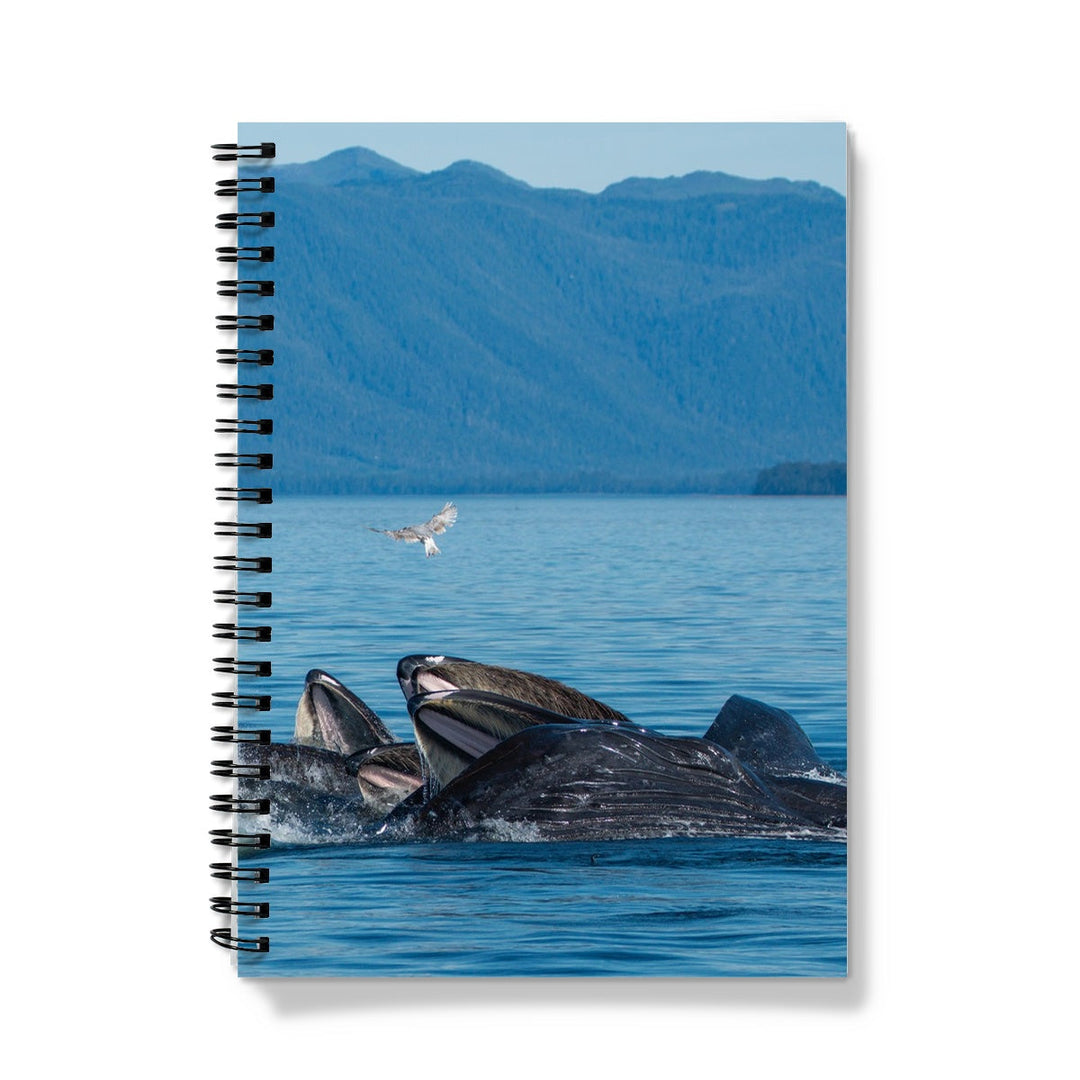 Alimentación con red de burbujas para ballenas jorobadas I - Cuaderno