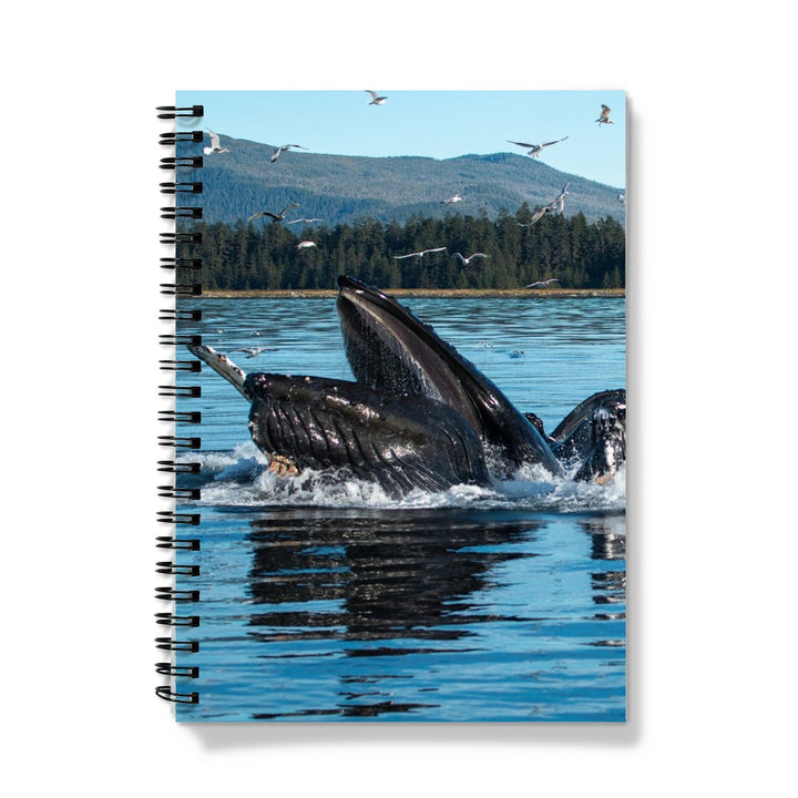 Humpback whales bubblenet feeding XIII - Notebook