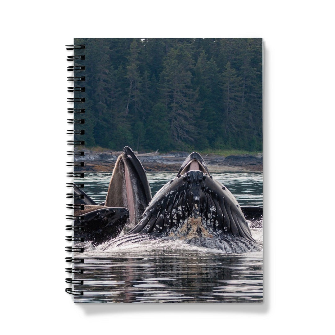 Humpback whales bubblenet feeding XVI - Notebook