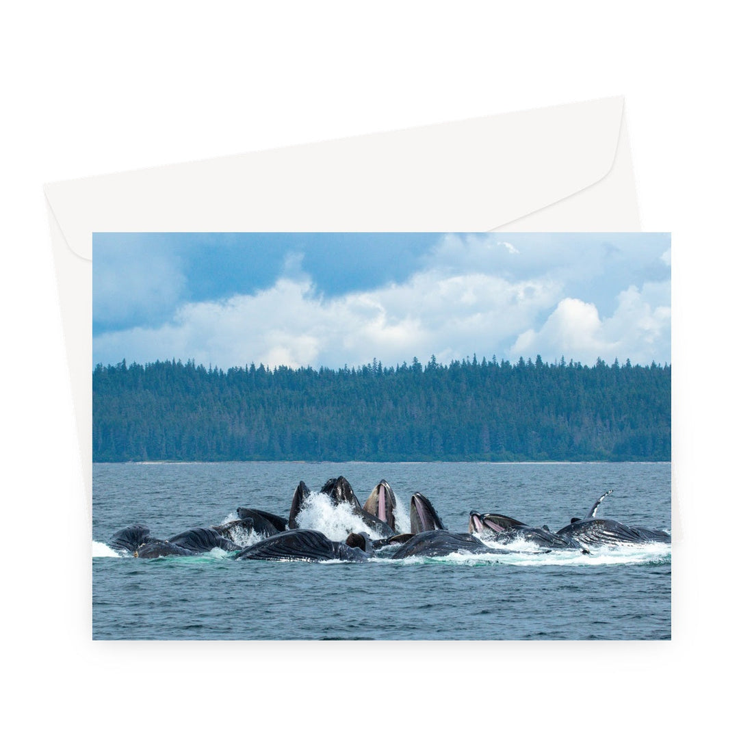 Humpback whales bubblenet feeding XVIII - Greeting Card