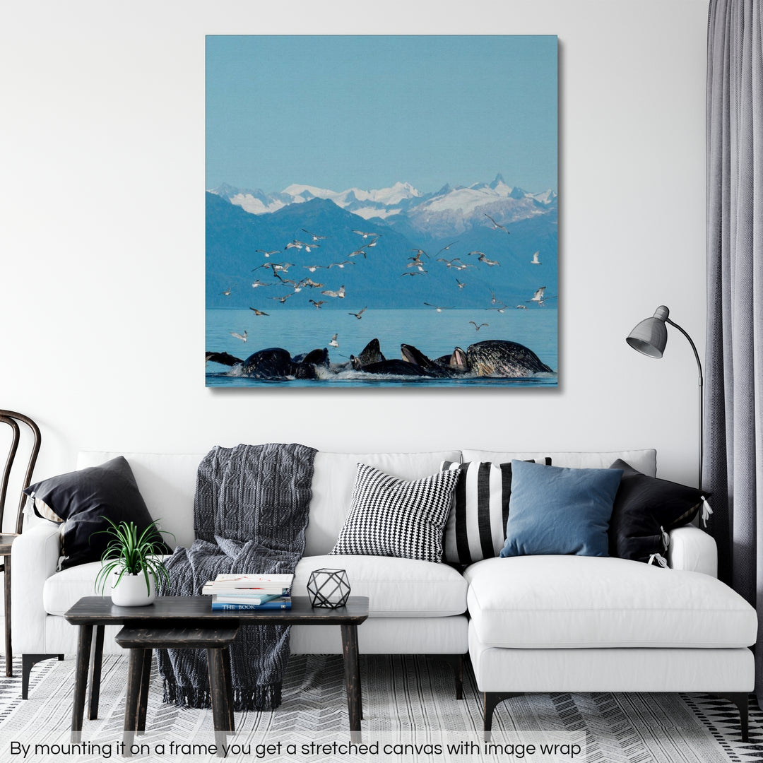 Humpback whales bubblenet feeding VII - Rolled Canvas