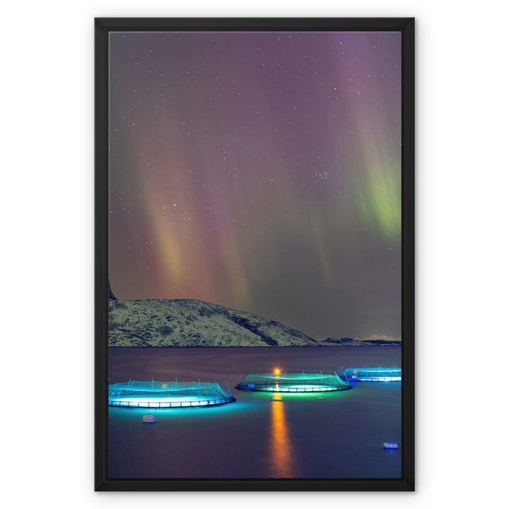 Fish pens with aurora II - Framed Canvas